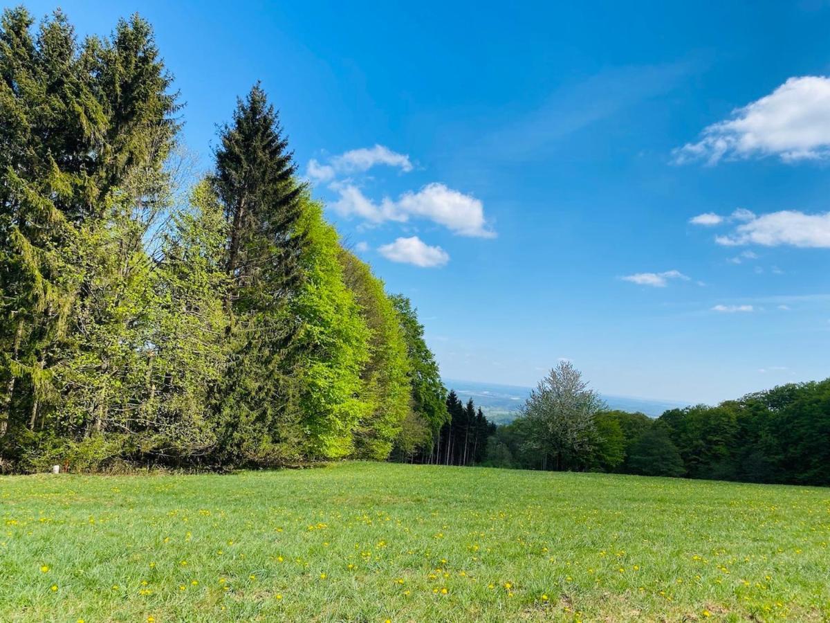 Pension Schmitt Waldfenster Exterior foto